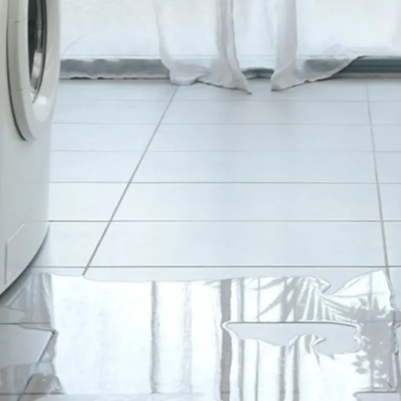 Appliance Leak Cleanup in Wausau, WI