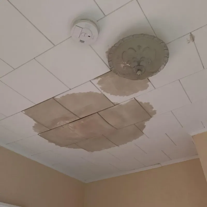 Ceiling Water Damage Repair in Wausau, WI