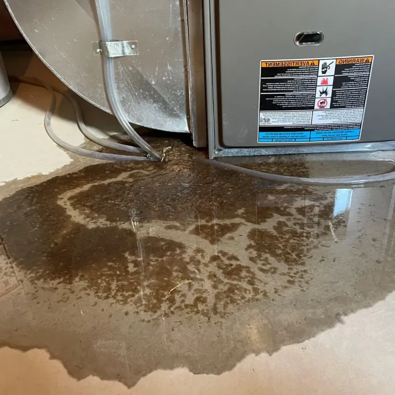 Pipe Burst and Leak Restoration in Wausau, WI